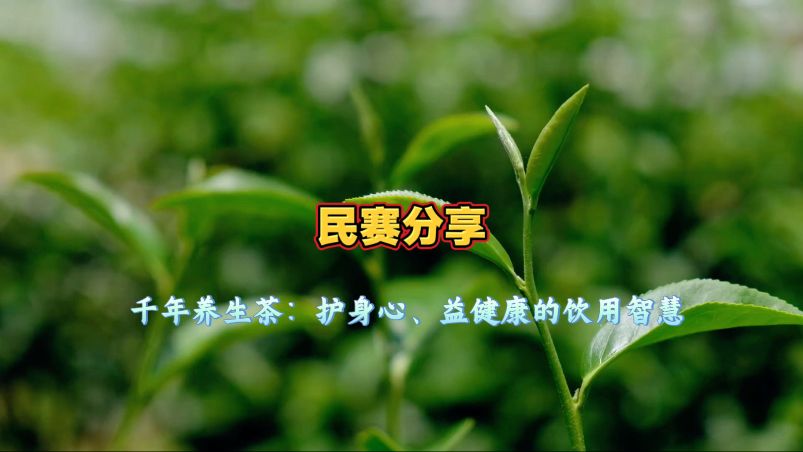 茶对人身健康有哪些影响